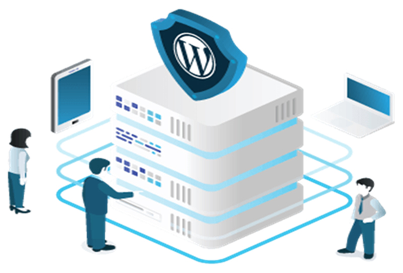 What to Look for When Choosing a WordPress Hosting Provider?